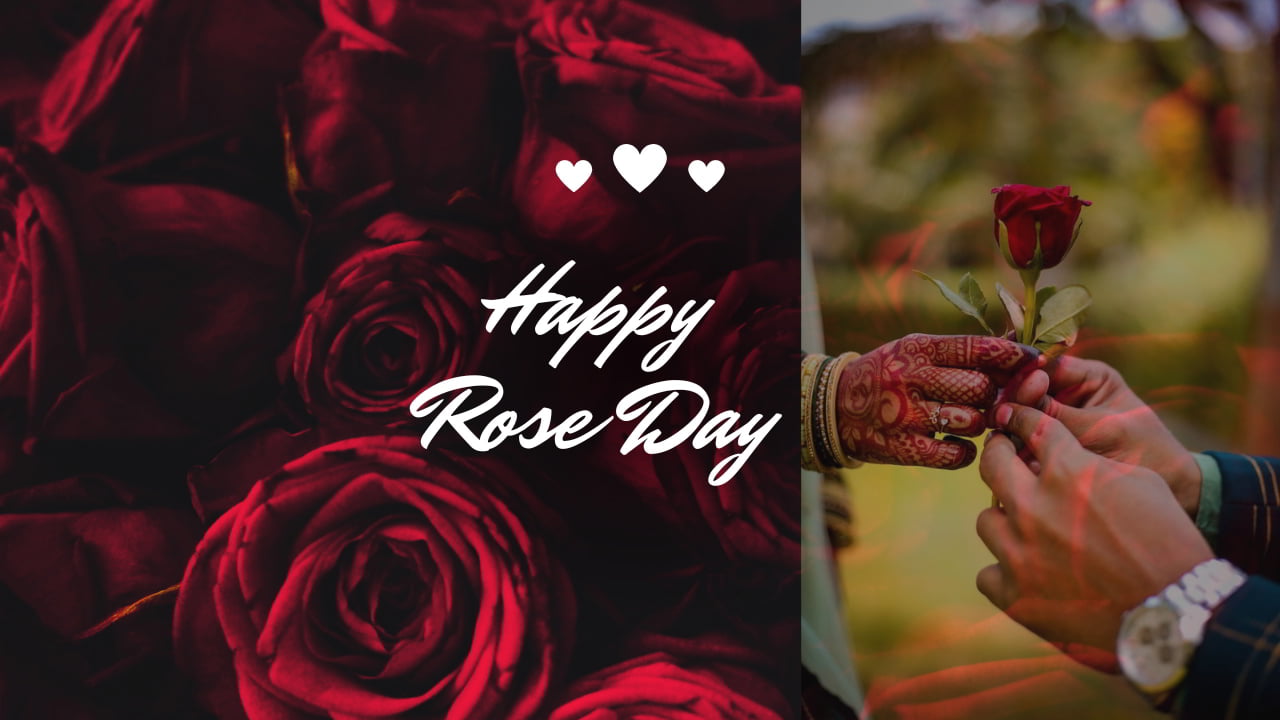 Rose Day